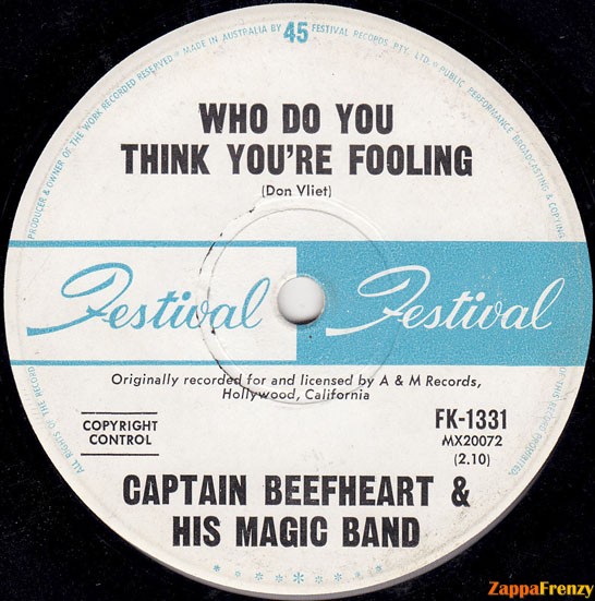 Who_Do_You_Think_You're_Fooling?